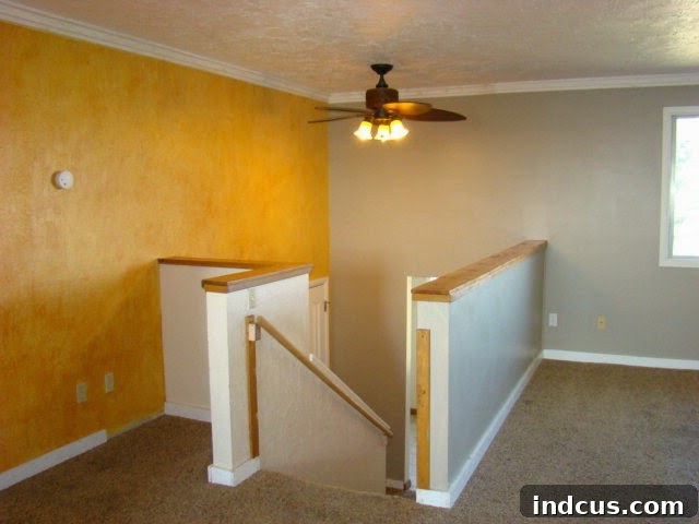 featured 347