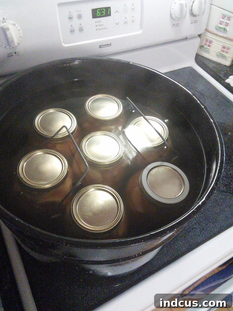 water bath canning apple pie filling