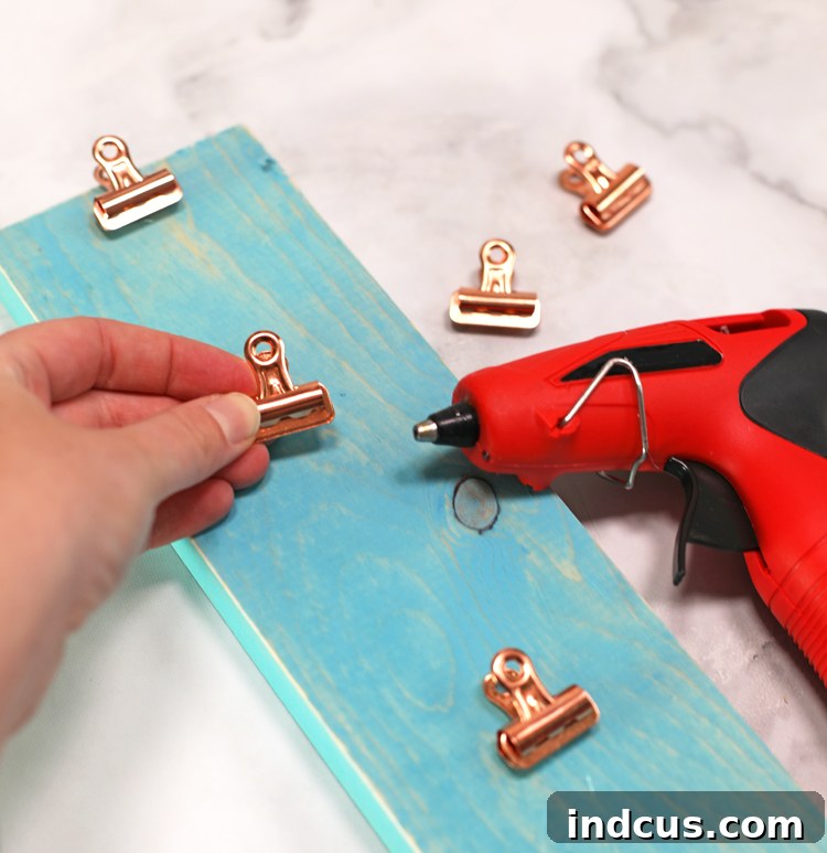 metal clips for photo display
