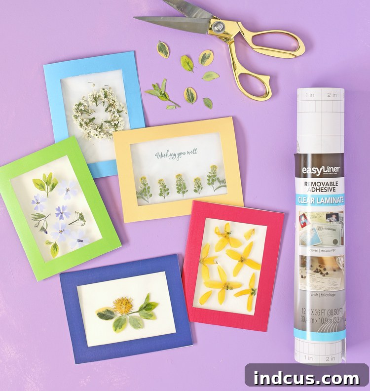 pressed flowers with clear shelf liner for handmade cards