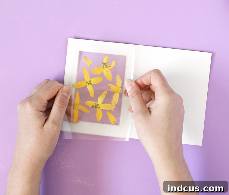 make a clear window pressed flower card tutorial