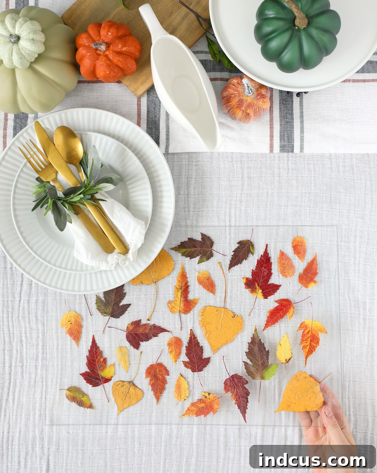 diy fall leaves placemate