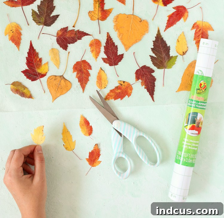how to preserve fall leaves
