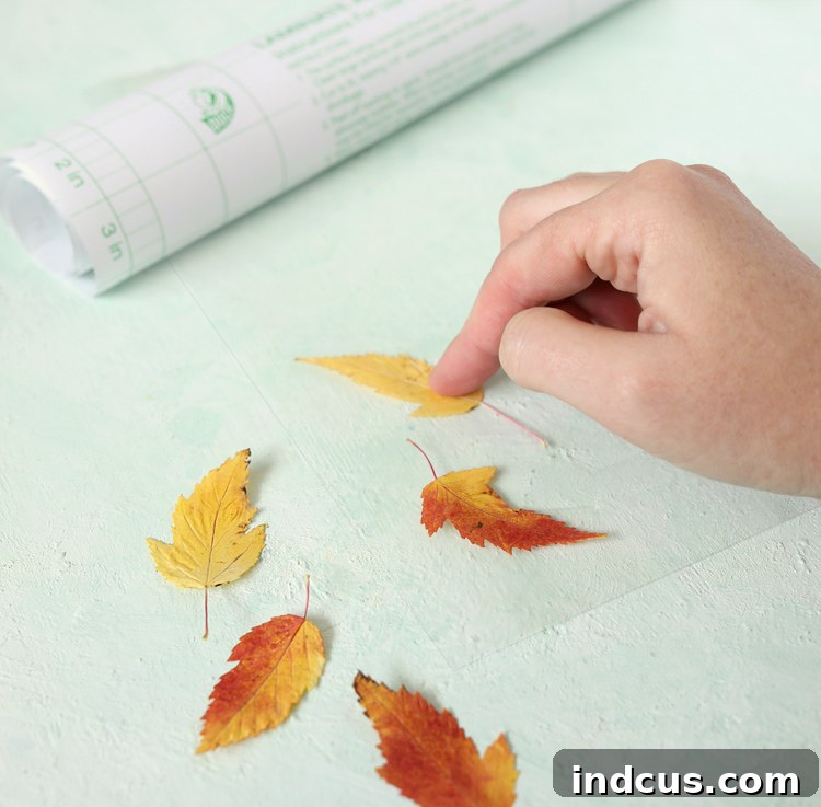 fall leaf craft idea
