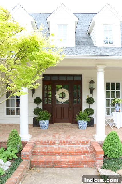 Boxwood topiaries in modern square planters