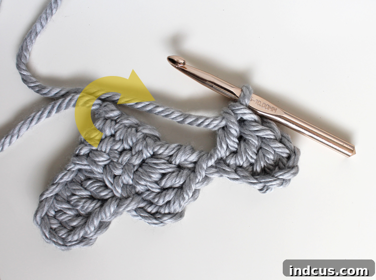 Crochet Pillow Tutorial Step 8: DC in next 2 stitches, then FLIP