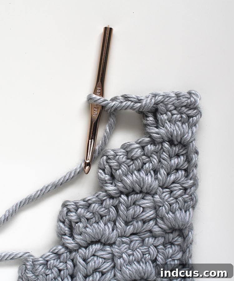 Crochet Pillow Tutorial Step 12: Ch 3, 3 DC, Sl st in decreasing pattern