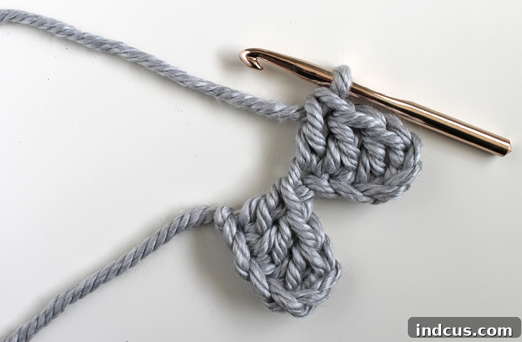 Crochet Pillow Tutorial Step 4: DC in next 2 stitches, then FLIP your work