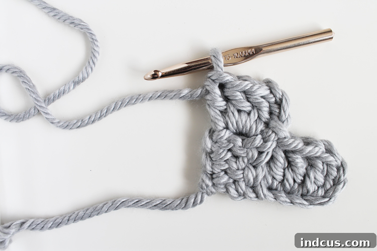 Crochet Pillow Tutorial Step 6: Work 3 DC into the ch-3 space