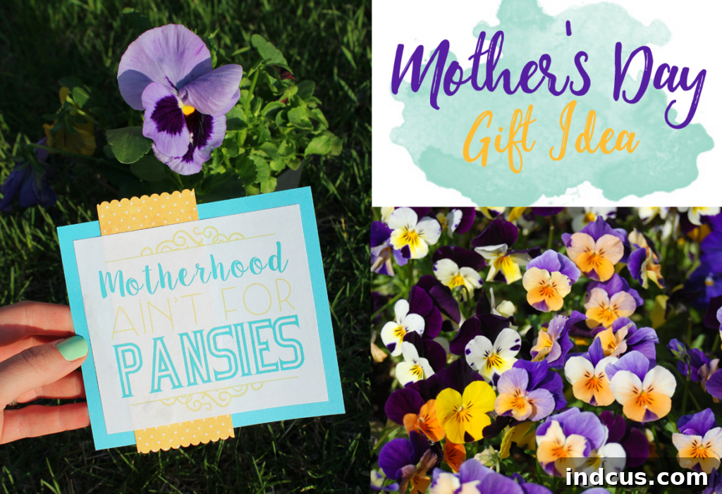 funny mothers day gift with printable card and live flowers