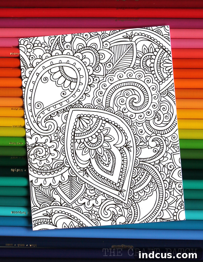 printable valentines day card adult coloring