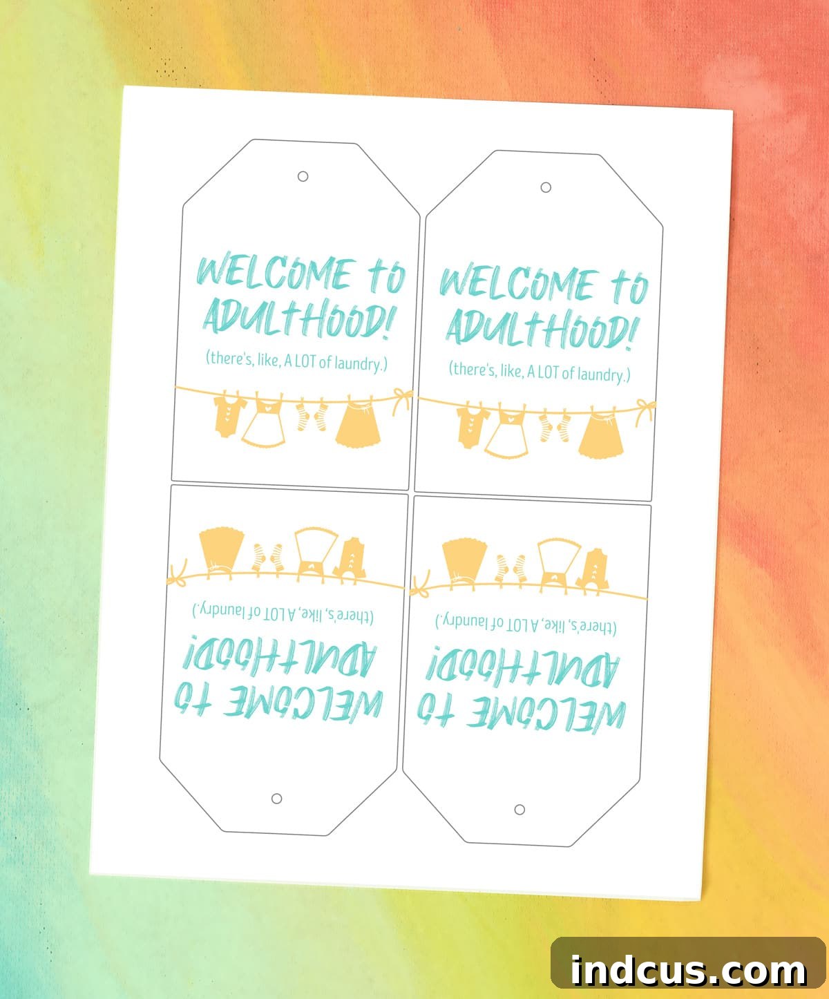 Printable laundry graduation gift tags attached to a detergent container
