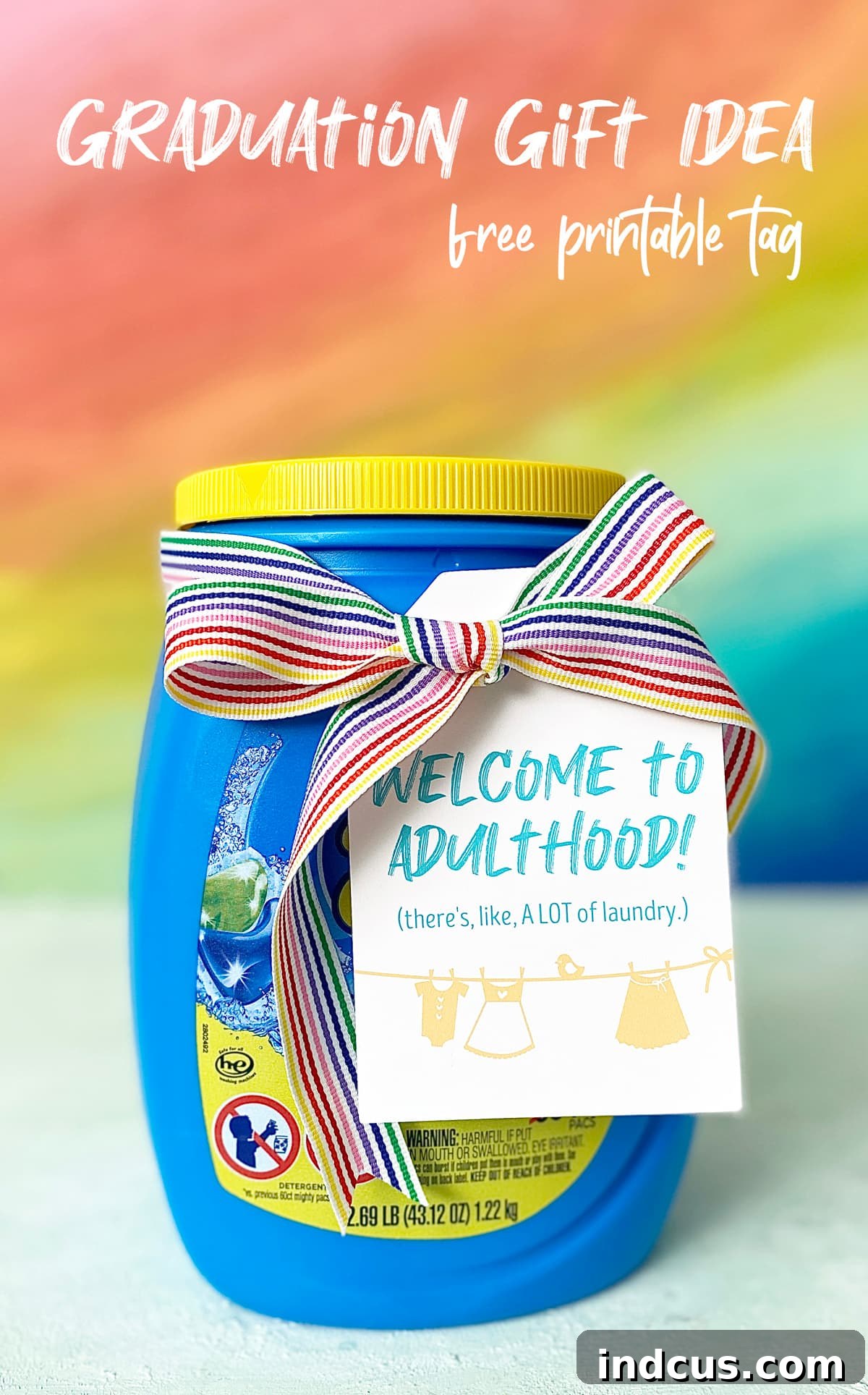 Graduation gift idea, laundry themed with funny printable tags, displayed in a basket
