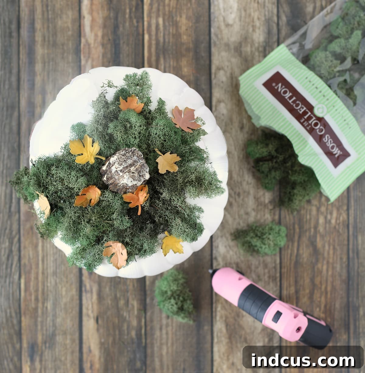 add moss to the top of a pumpkin