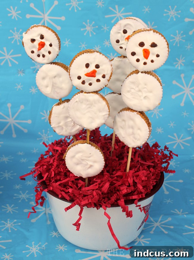An adorable snowman chocolate-dipped sandwich cracker treat on a stick, artfully displayed to enhance any snowman-themed party.