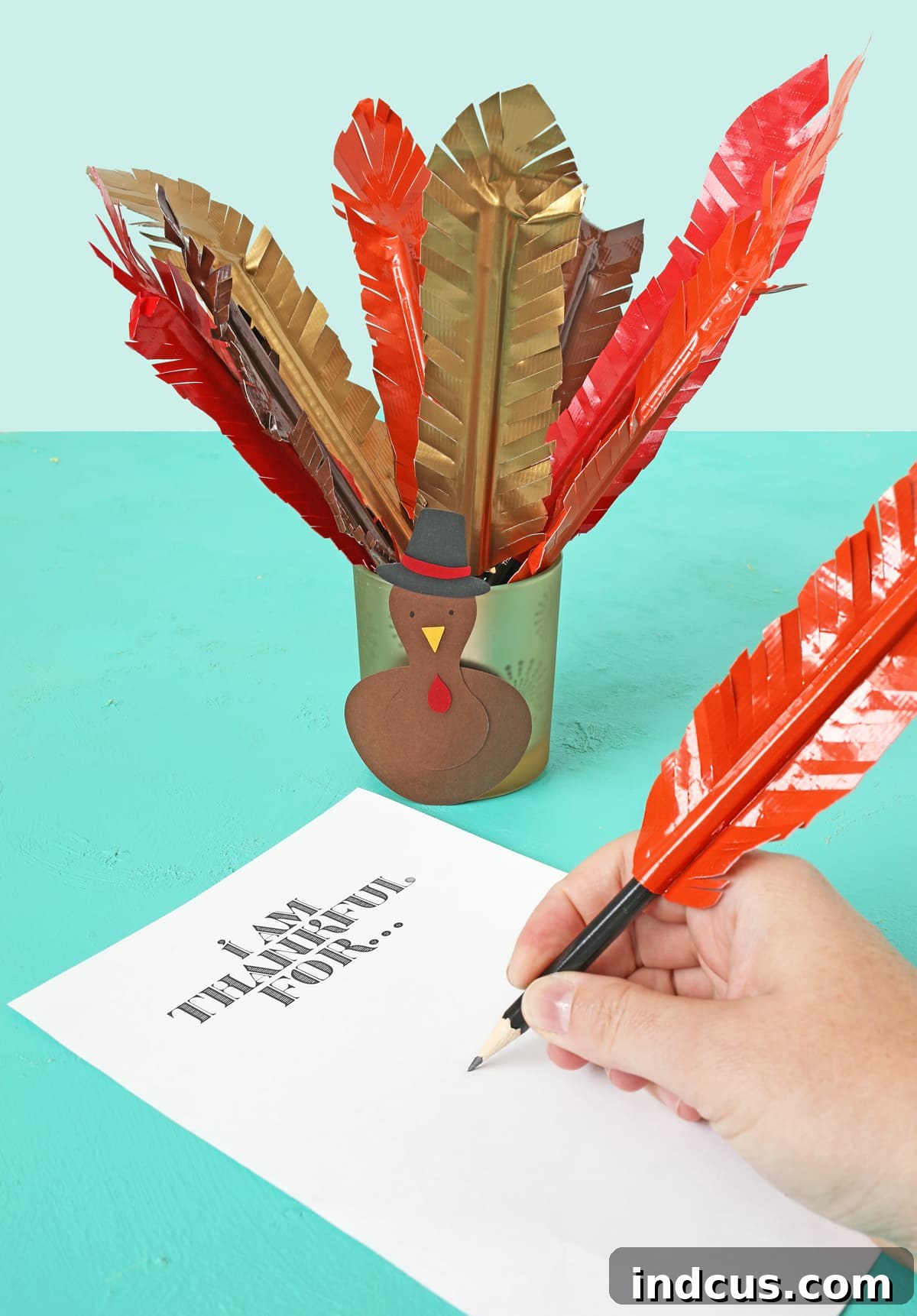 Thanksgiving turkey feather pens and craft