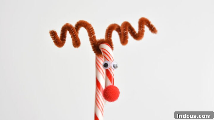 Candy cane reindeer craft for kids
