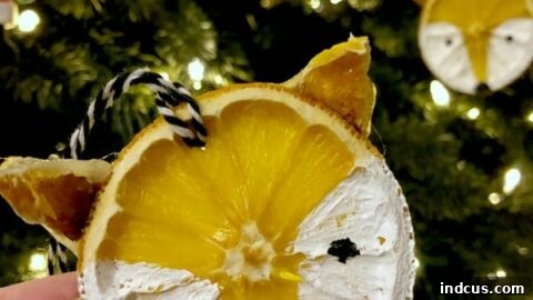 Dried orange slices fox ornaments for Christmas