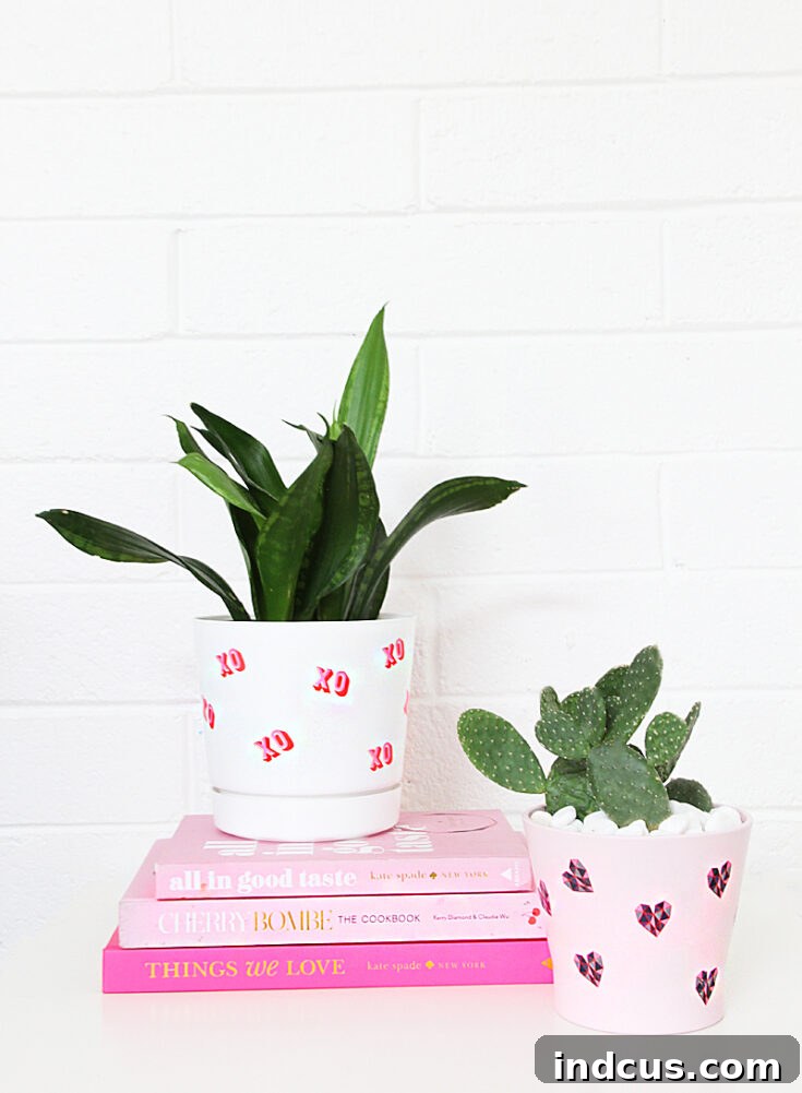 DIY tattoo Valentine plant pots for personalized decor