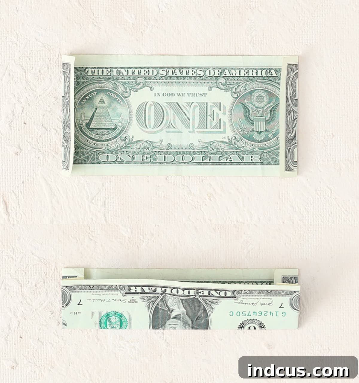 folding a money butterfly