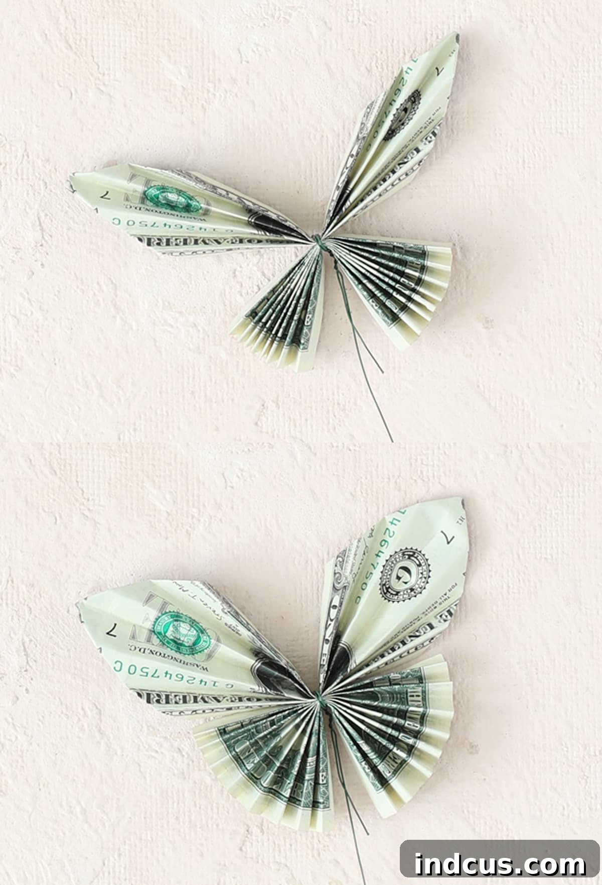 fluff the wings of the money butterfly