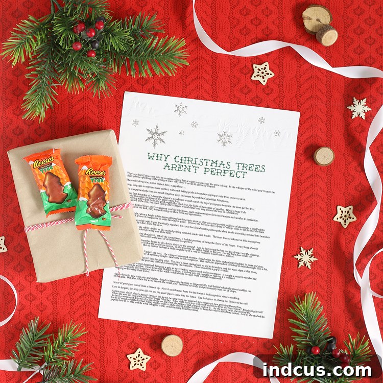 Twelve Days of Christmas gift idea to mail, unique care package with stories and treats, festive holiday countdown activity