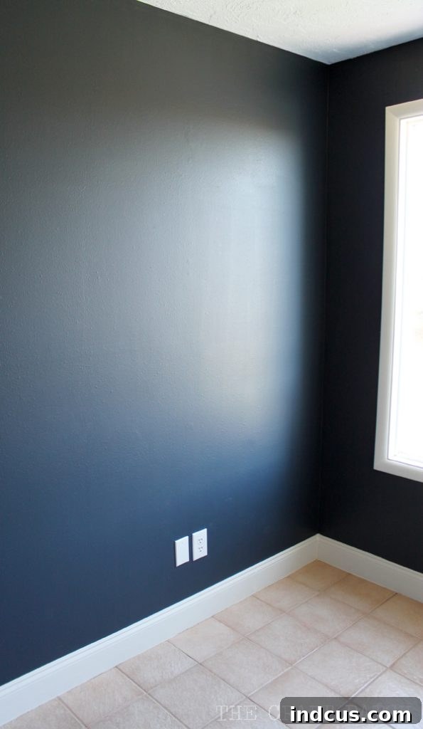 benjamin moore hale navy walls