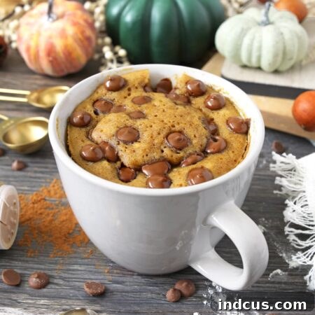 Pumpkin Mug Cake