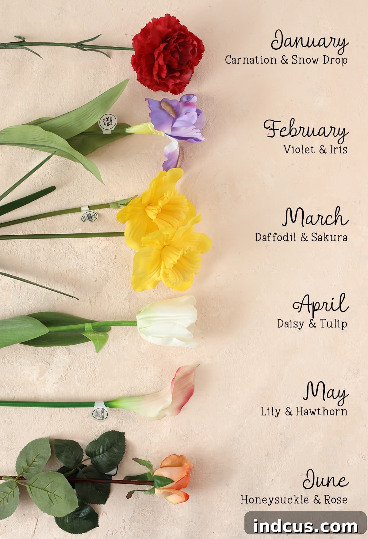birth flower chart for personalized gift
