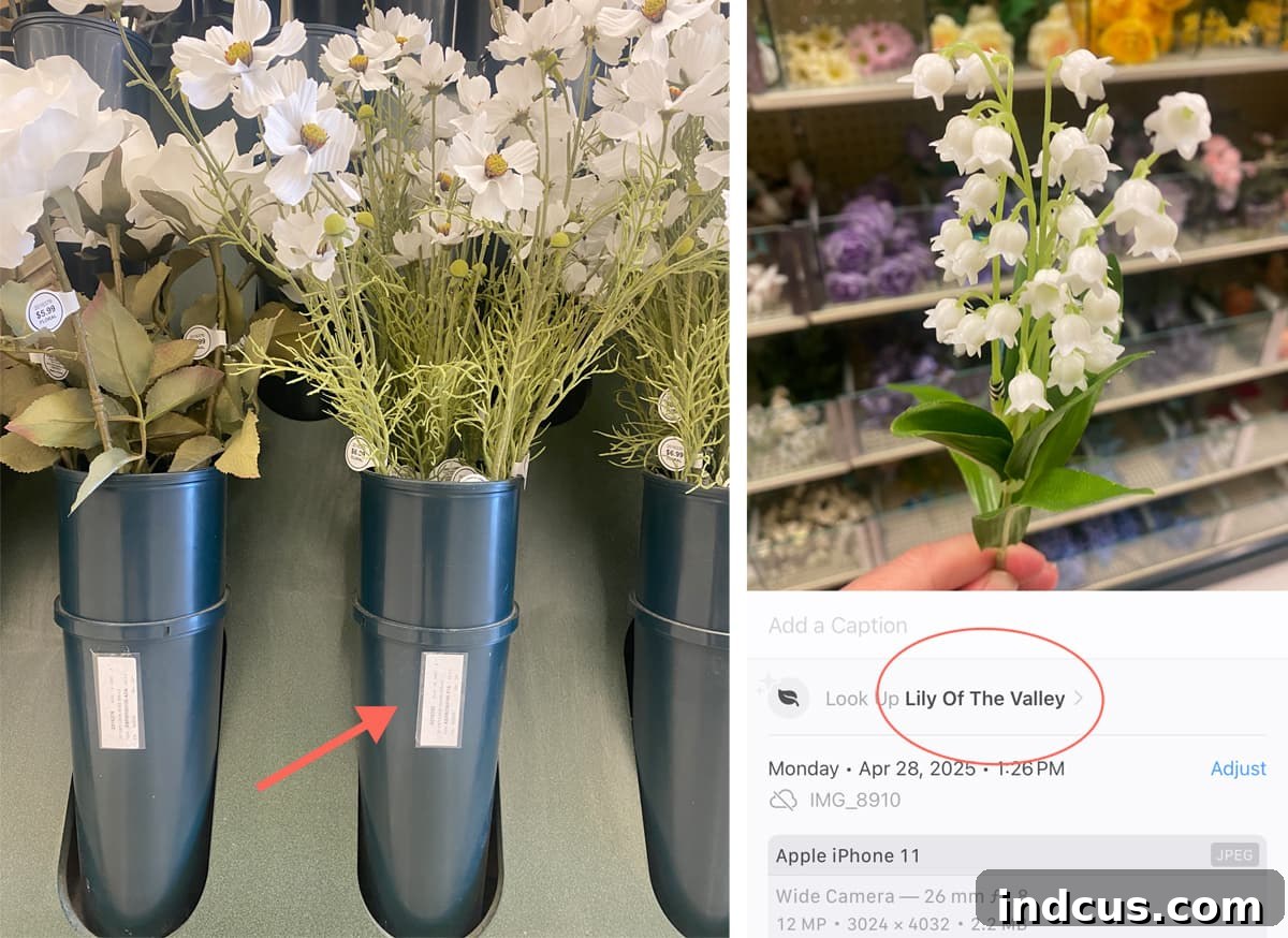 how to find specific flower species at hobby lobby for crafts