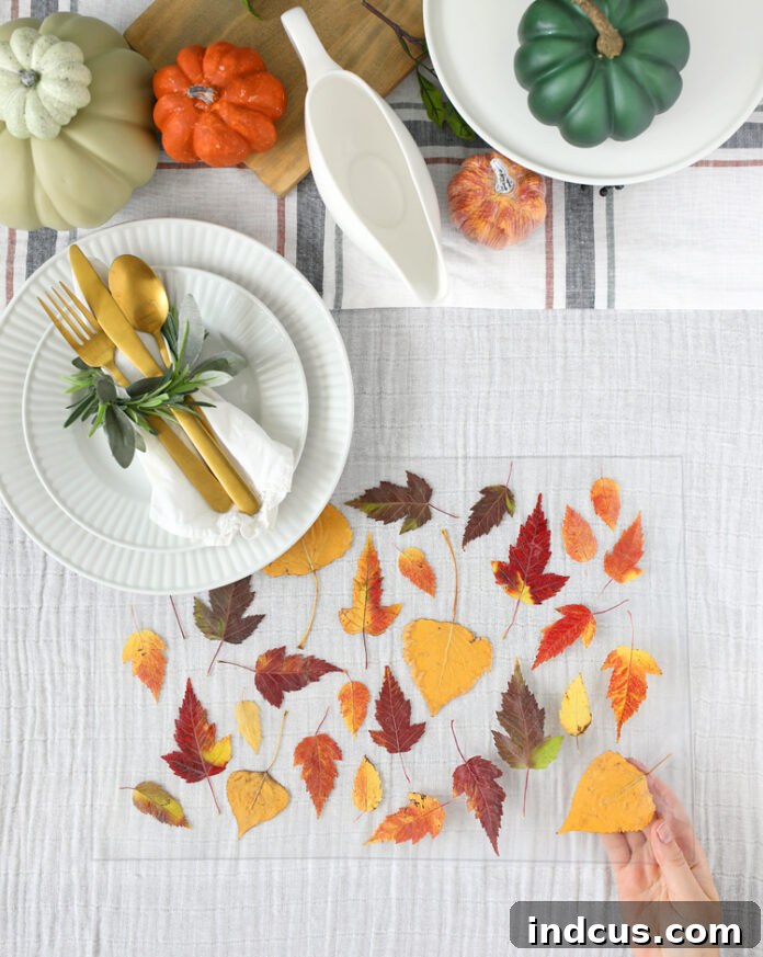 DIY fall leaves placemat craft