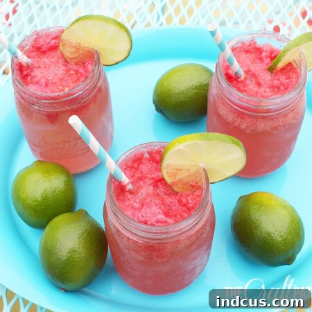 Watermelon Lime Spritzer - Recipe Image