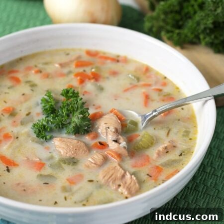 Final plated chicken and wild rice soup