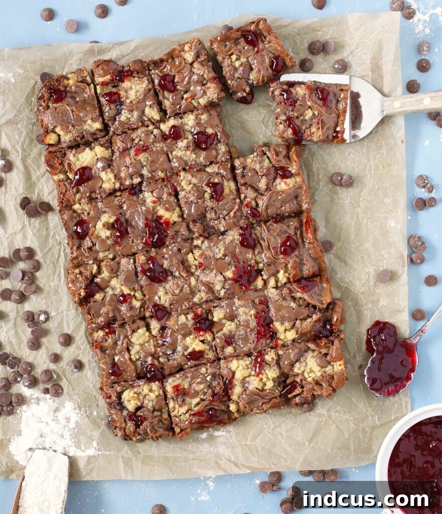 Close up of chocolate raspberry crumb bar cookies ready to be served