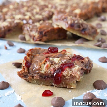 Finished chocolate raspberry crumb bars
