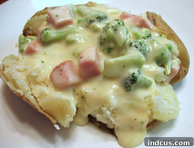A simple yet delicious homemade cheese sauce, perfect for baked potatoes or pasta.
