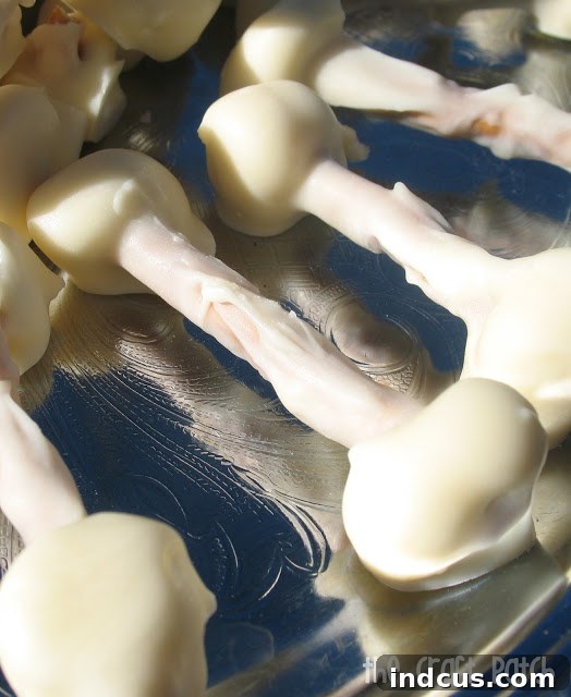 Ghoulish Gourmet Gathering 3 chocolate covered pretzel bones for halloween party