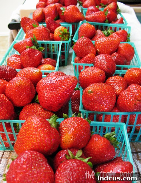 The best and easiest freezer jam with fresh strawberries