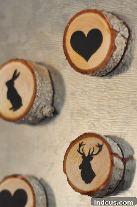 Inspiring Wood Slice Creations 8 diy wood slice magnets