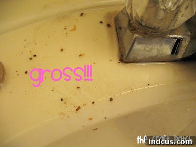 homemade cleaner for bathroom gunk