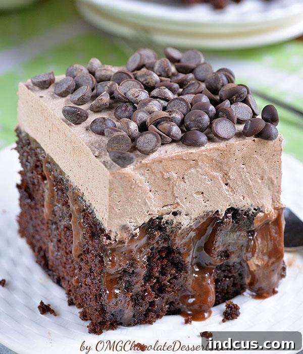Moist Chocolate Poke Cake Recipe