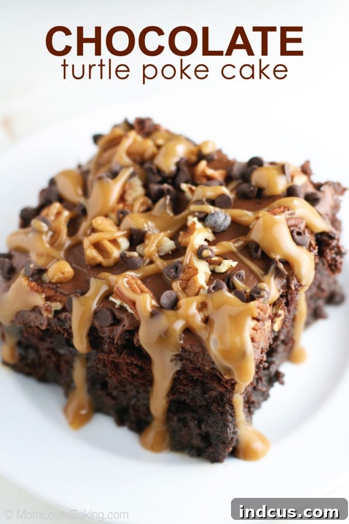 Chocolate Turtle Poke Cake with rich cake, gooey caramel, and crunchy pecans