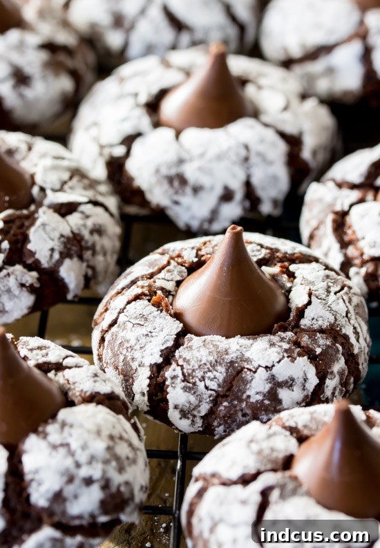 Fun Chocolate Kiss Cookies with a chocolate candy kiss in the center