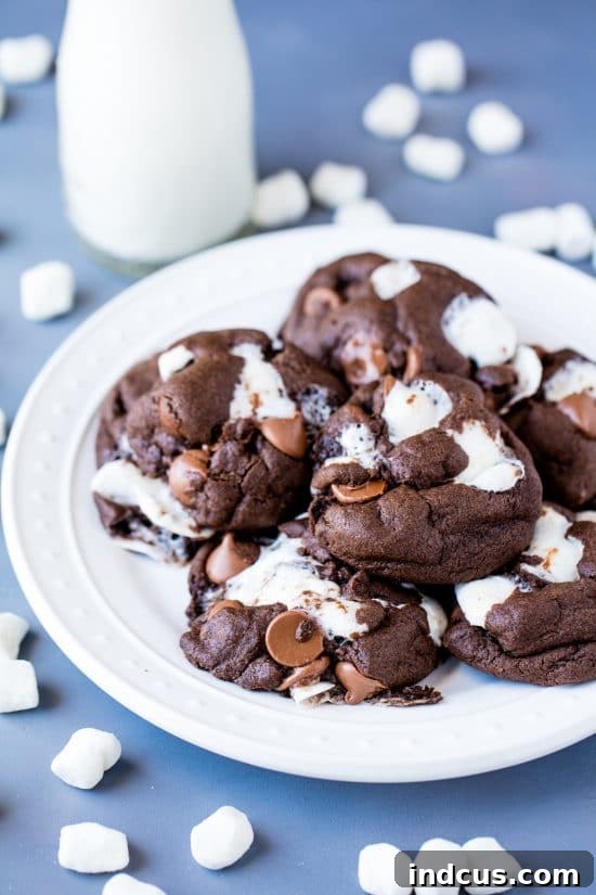 Soft chocolate cookies with fun marshmallow addition - Chocolate Marshmallow Chubbies