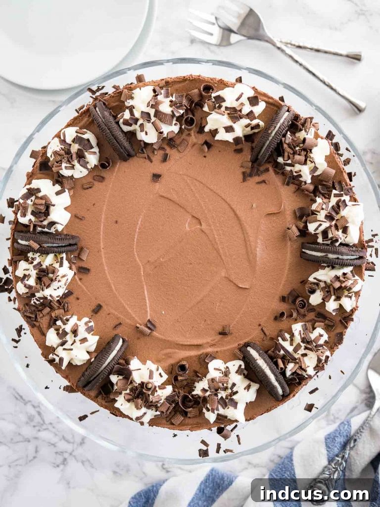 Elegant Chocolate Mousse Cake