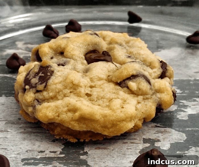 Soft Batch Chocolate Chip Cookies, a quest for the perfect chocolate chip cookie