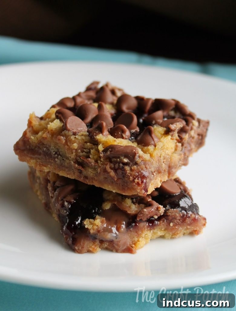 Prize-winning Chocolate Raspberry Crumb Bars