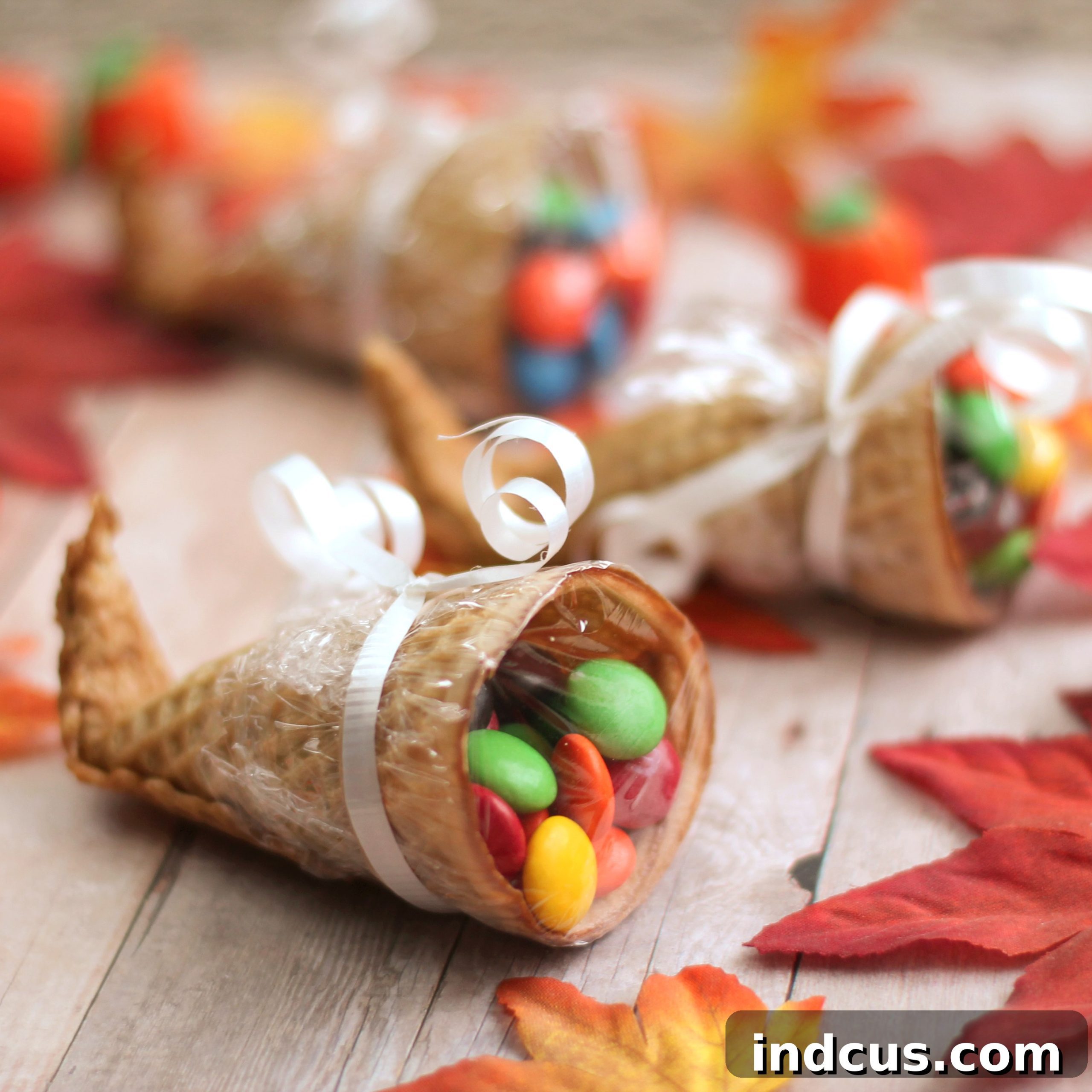 sugar cone cornucopias
