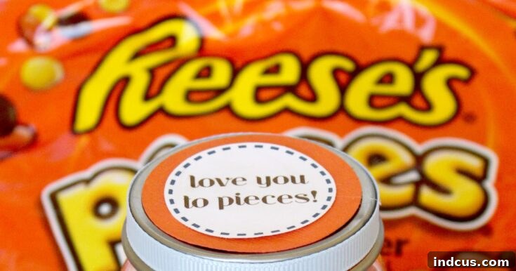 Father's Day Reese's Pieces candy gift