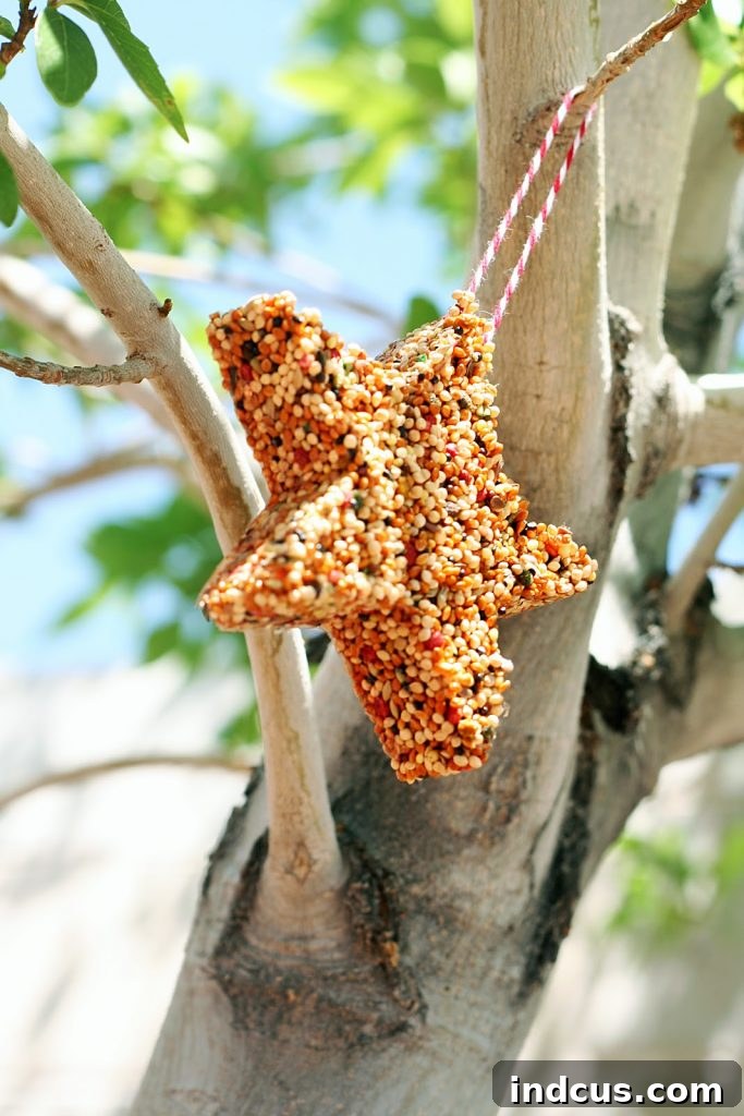 bird seed cake activity